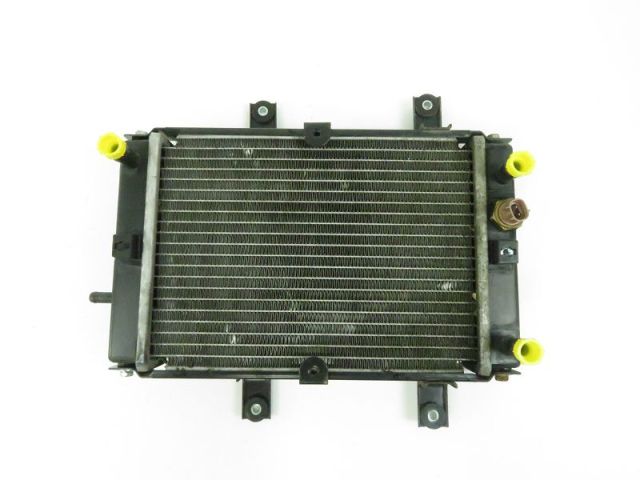 Radiateur eau occasion SYM GTS 2009