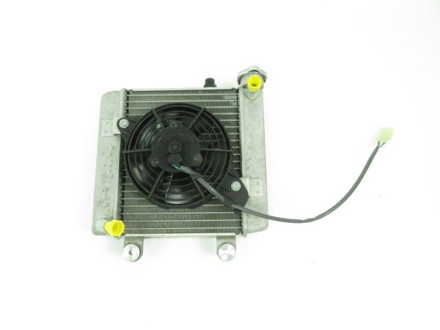 Radiateur eau occasion HONDA FES 125 S-WING 2009