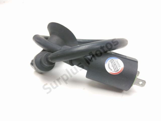 Bobine allumage occasion RIDE GT RACE 2016