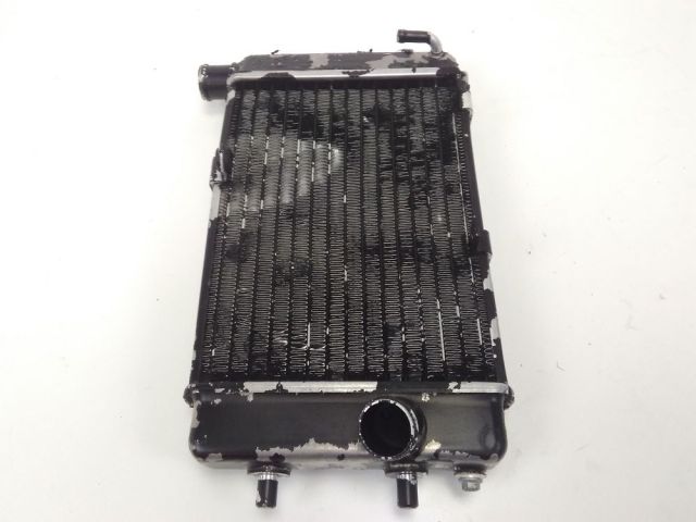 Radiateur eau droit occasion APRILIA FUTURA 2002