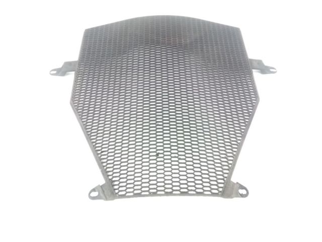 Grille de radiateur occasion BMW K 1300 GT 2009