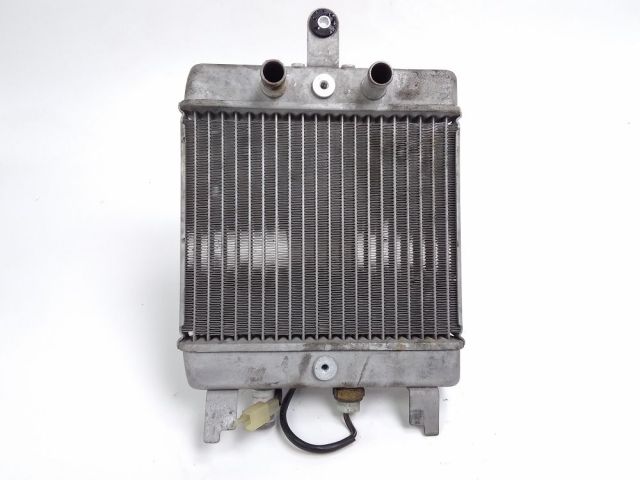 Radiateur eau occasion SUZUKI BURGMAN 125 2011