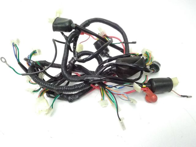 Faisceau electrique occasion EUROCKA GTR 2013