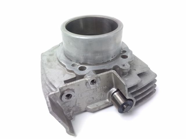 Bloc cylindre occasion DUCATI MONSTER 600 2001