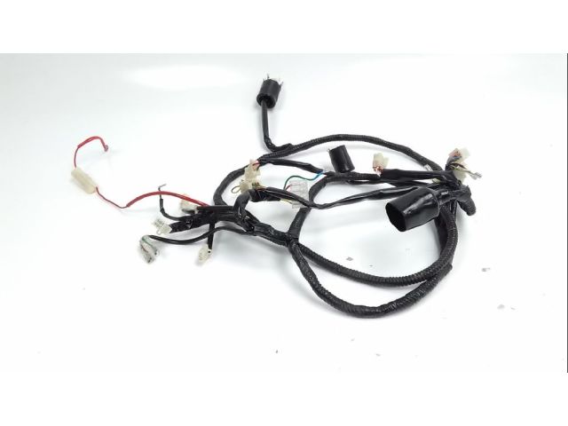 Faisceau electrique occasion ZNEN FUSION 2018