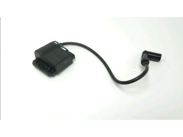 Boitier cdi occasion RIEJU SMX 2005