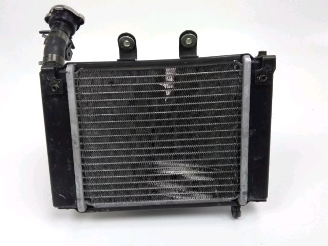 Radiateur eau occasion DAELIM ROADWIN 2009