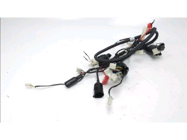 Faisceau electrique occasion JM MOTORS SANTANA 2019