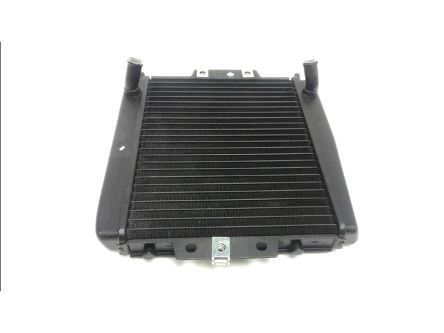 Radiateur eau occasion PIAGGIO MP3 300 2010