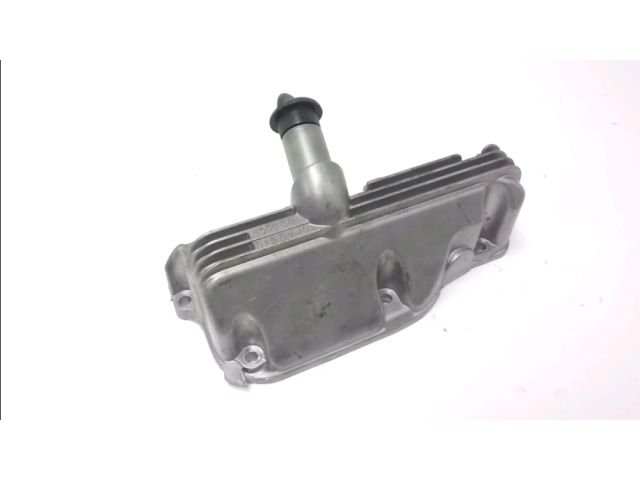 Carter moteur occasion PIAGGIO X-EVO 125 2015