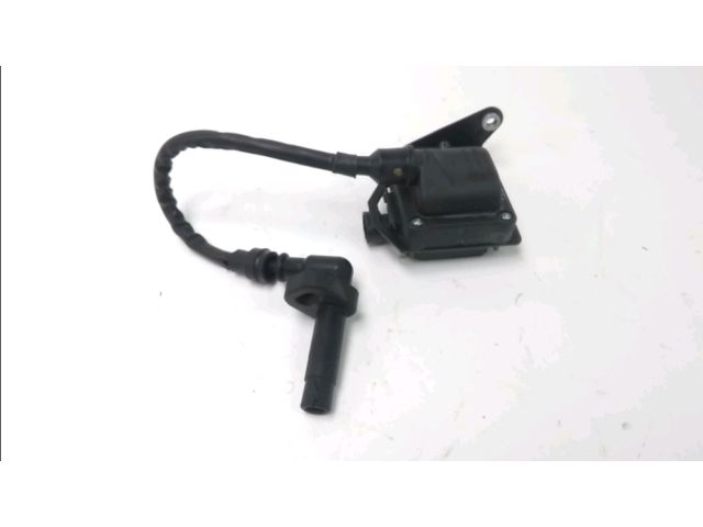 Bobine allumage occasion PEUGEOT GEOPOLIS 2006