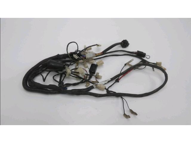 Faisceau electrique occasion GENERIC CRACKER 2013