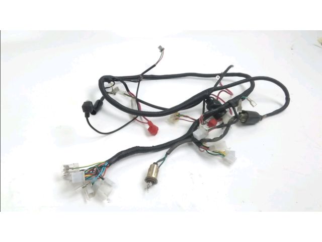 Faisceau electrique occasion LONGJIA SHARPY 2017