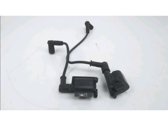 Bobine allumage occasion DUCATI MULTISTRADA 620 2005