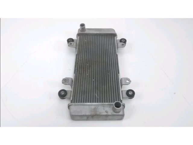 Radiateur eau occasion KAWASAKI EX 300 NINJA 2016