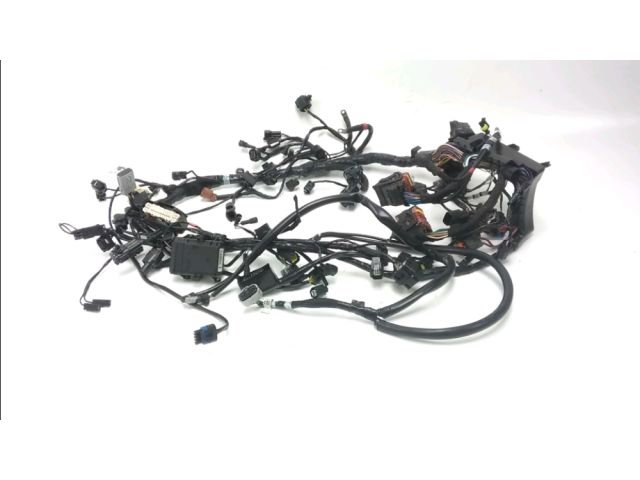 Faisceau electrique occasion TRIUMPH TIGER 2018