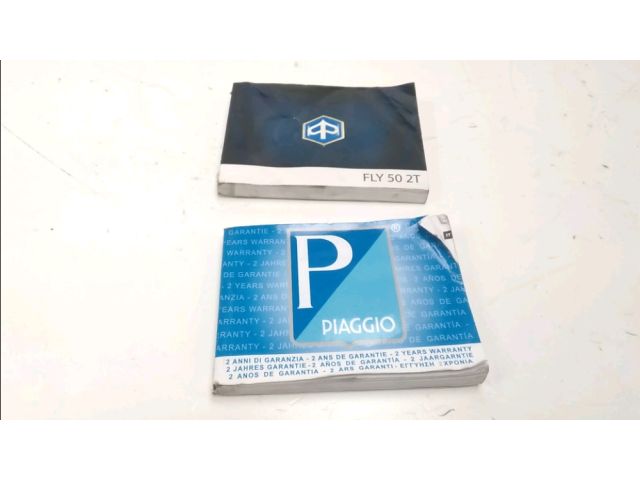 Manuel d'utilisation occasion PIAGGIO FLY 50 2T 2016