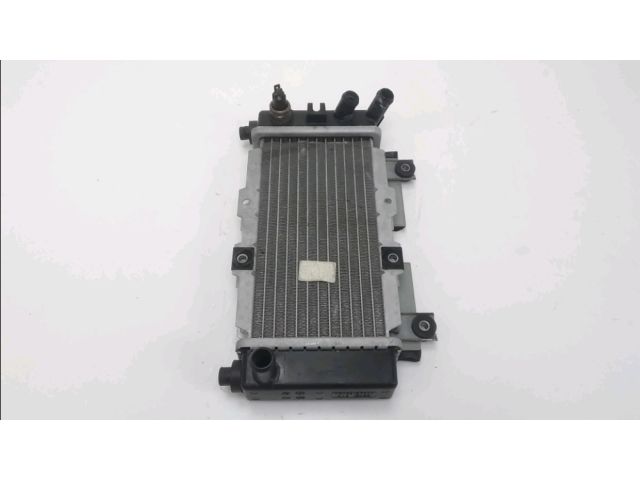 Radiateur eau occasion SYM JOYRIDE 2012