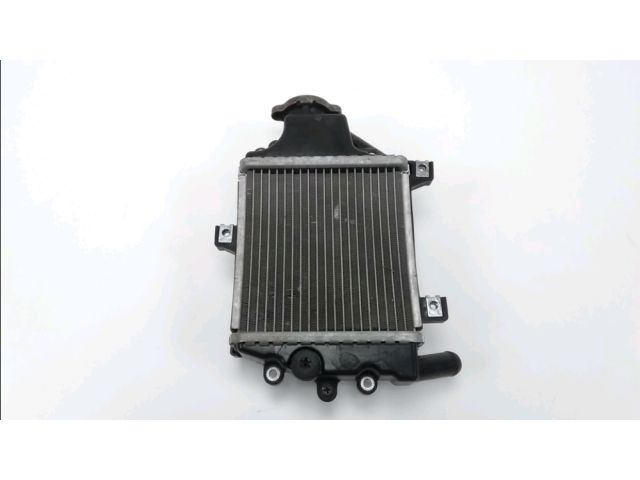 Radiateur eau occasion DAELIM S3 2016