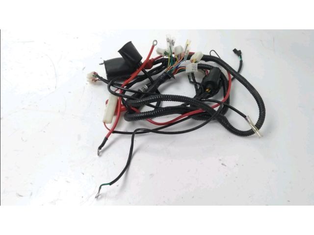 Faisceau electrique occasion RIYA SPLITI 2018