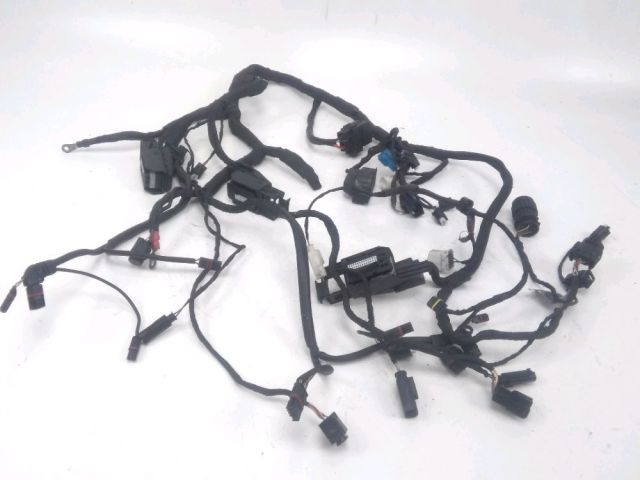 Faisceau electrique occasion BMW R 1250 R 2007