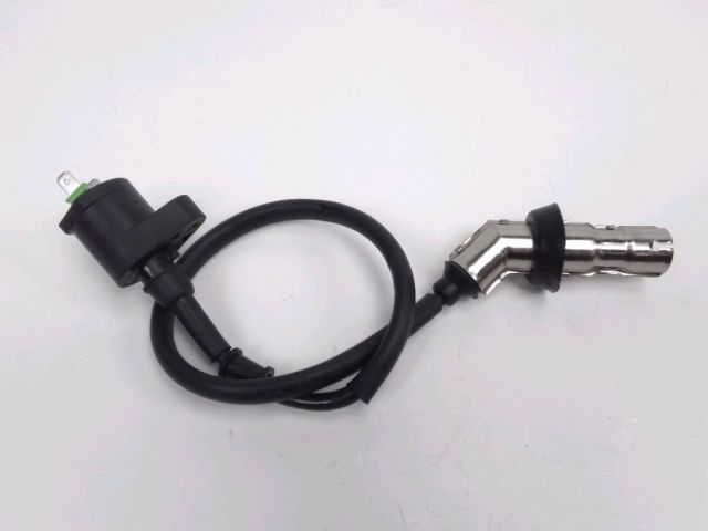 Bobine allumage occasion EUROCKA SUNNY 2014