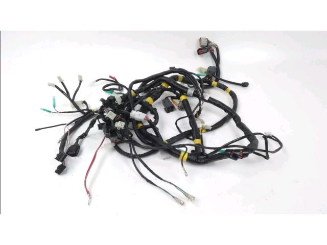 Faisceau electrique occasion QUADRO QOODER 2019