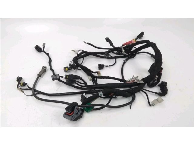 Faisceau electrique occasion DUCATI MONSTER 696 2009
