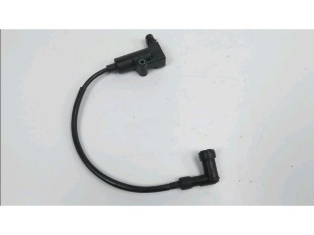 Bobine allumage occasion MASH BLACK SEVEN 2018