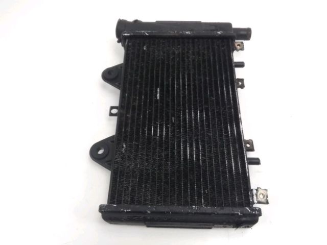 Radiateur eau occasion TRIUMPH TIGER 1995
