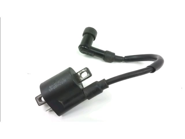 Bobine allumage occasion GENERIC TRIGGER 2007