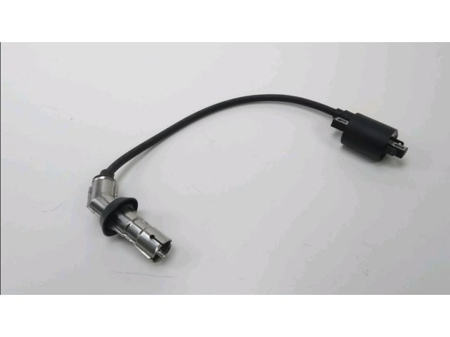 Bobine allumage occasion EUROCKA GTR 2018