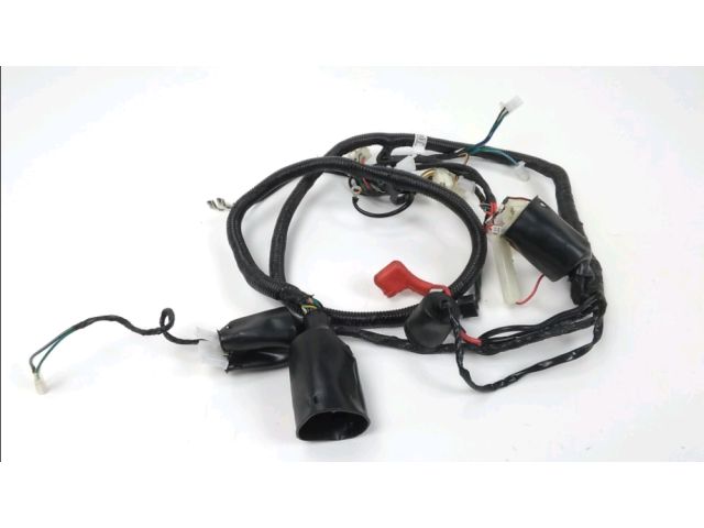 Faisceau electrique occasion EUROCKA VIRTUALITY 2017