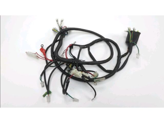 Faisceau electrique occasion NECO BORGIA 2018