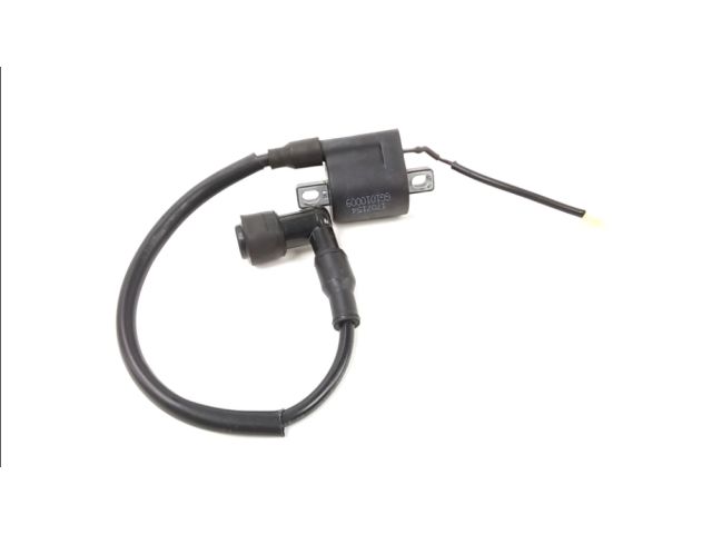 Bobine allumage occasion YAMASAKI VIPER 2018