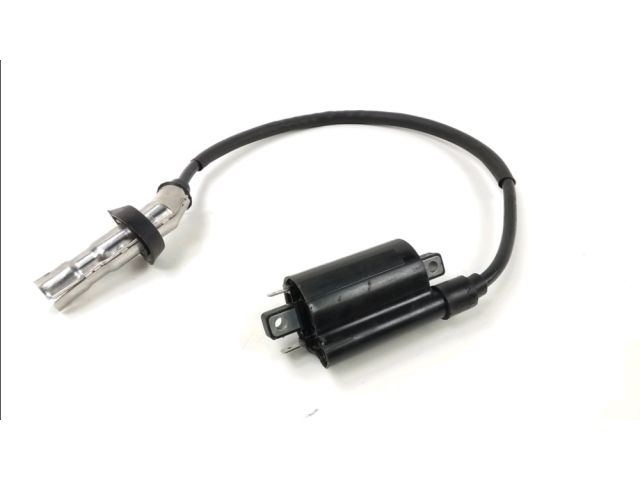 Bobine allumage occasion EUROCKA VIRTUALITY 2020