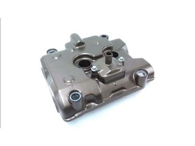 Cache culbuteur occasion HONDA CBR 500 R 2020