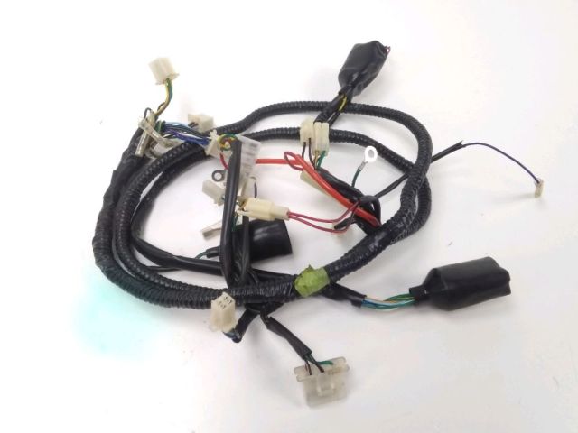 Faisceau electrique occasion VASTRO LIMITED 2011