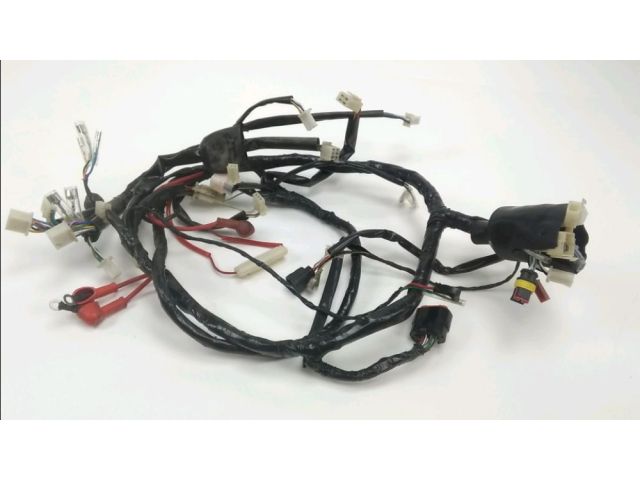 Faisceau electrique occasion VASTRO GECKO 2018