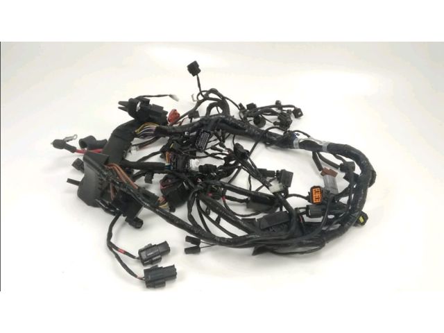 Faisceau electrique occasion TRIUMPH TIGER 2017