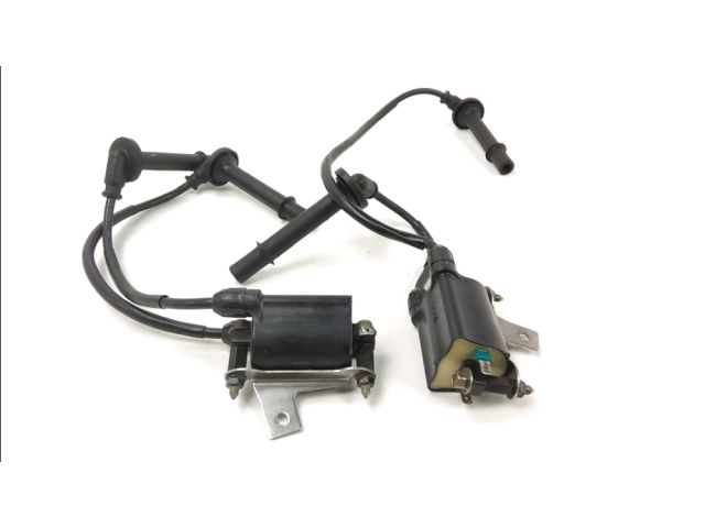 Bobine allumage occasion HONDA CBR 1100 XX 1999