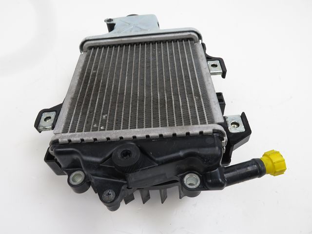 Radiateur eau occasion HONDA PCX 2016