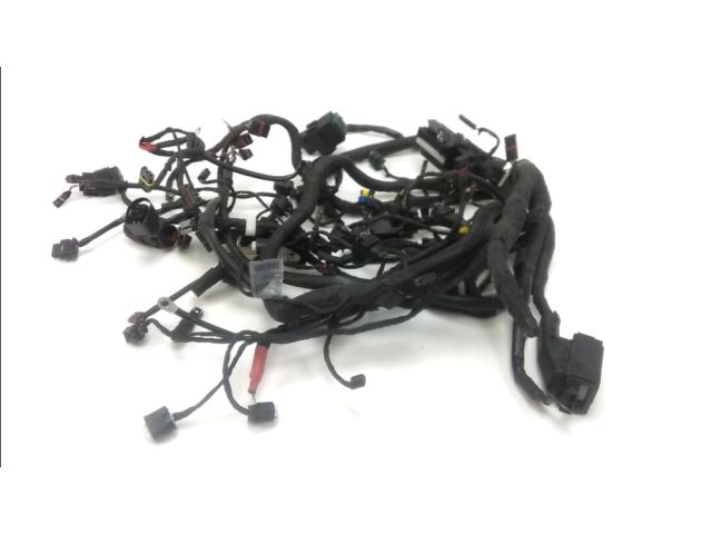 Faisceau electrique occasion BMW K 1300 R 2009