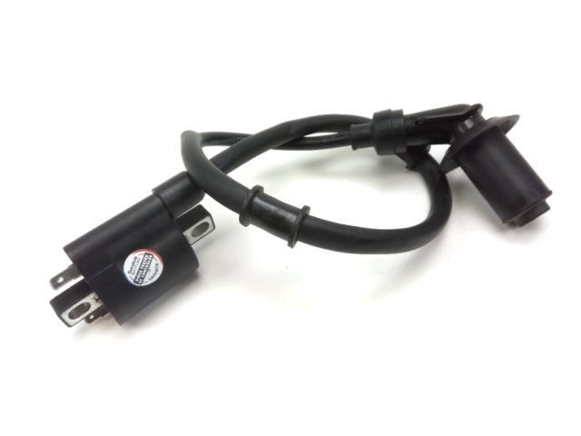 Bobine allumage occasion ORCAL CAVARO 2021