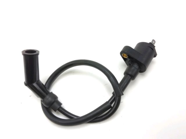 Bobine allumage occasion ORCAL ISCA 2015