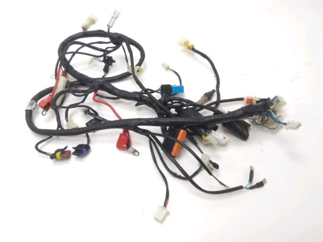 Faisceau electrique occasion JORDON RETRO MIO 2019
