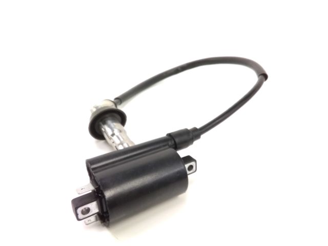 Bobine allumage occasion EUROCKA GTR 2020