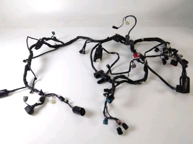 Faisceau electrique occasion KAWASAKI VERSYS 650 2019