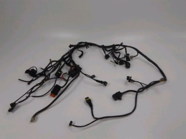 Faisceau electrique occasion DUCATI MONSTER 800 2003