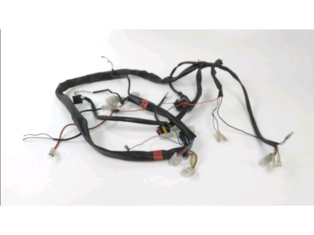 Faisceau electrique occasion APRILIA SCARABEO 2003